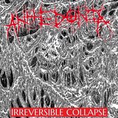 IRREVERSIBLE COLLAPSE - EP
