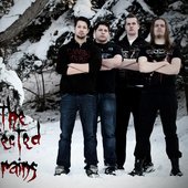 The Infected Brains 2013