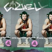 HITS ALL OVER YOUR FACE [The Peace Bisquit Collection 2006-2018/2025] [Explicit]