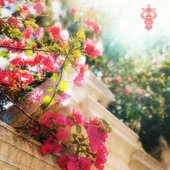 artworks-C6zllI0TUCApSYUt-EBYBjA-t500x500.jpg