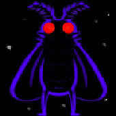 Avatar for APHOTICMOTH