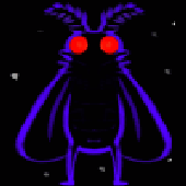 APHOTICMOTH 的头像