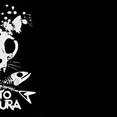 gato-ventura.png