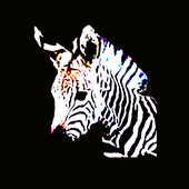 Avatar for ZebrasCanFlyToo