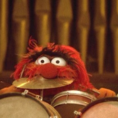 AnimalTheMuppet 的头像