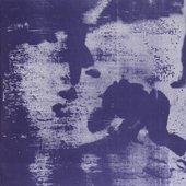 7inch insert