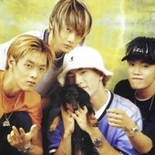 🐶 ☆