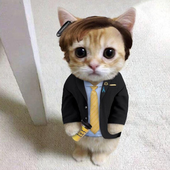 grumpykitty04 的头像