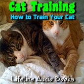 Cat Training - How to Train a Cat