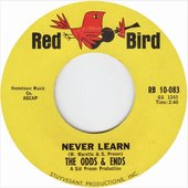 Never Learn - Single