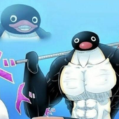 pingurei 的头像