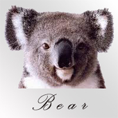 bearfromsteam için avatar