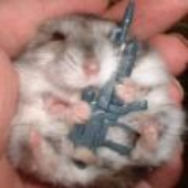 Avatar de terrorhamster