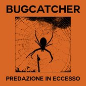 Predazione in Eccesso