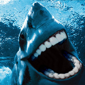 DrSharky70 için avatar