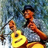 Tôco Preto