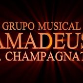  Grupo Musical Amadeus