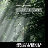 Forest Rays: Ambient Grooves & Sounds Of Nature