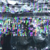 vnl77570 的头像