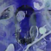 iiyyo 的头像