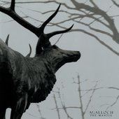 agalloch - the mantle.jpg