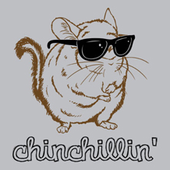 DoomChinChilla 的头像