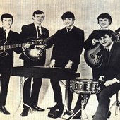 the fortunes 1965