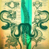 anatomical drawing drawn by a patient
