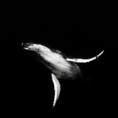 Into the Abyss - Single