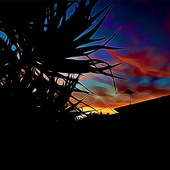 Avatar for Deanna_Caputo
