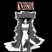 KN33SOX