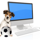 Аватар для soccerdog