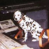 lou.dog - Single