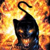 Avatar for Xaryko