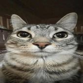 Avatar for cancerousgod