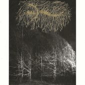 To Exist Among Wolves