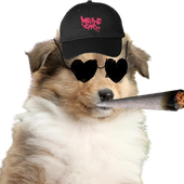 Avatar for MachineGirlPup