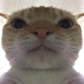 EmanuelB04 的头像