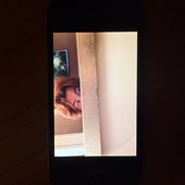 IMG_5831.jpg