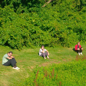 grassy
