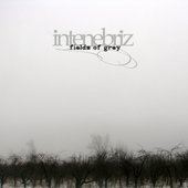 In Tenebriz - Fields Of Grey - 2008