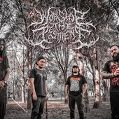 Worship the Pestilence