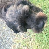 izzy170603 的头像