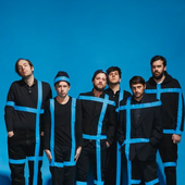 dr.dog.png