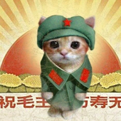 zanfaa 的头像