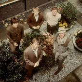 courtyard boys