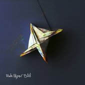 Rock Paper Bird