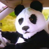 richthepanda 的头像