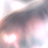 l.png
