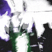 ezgif.com-gif-maker.gif